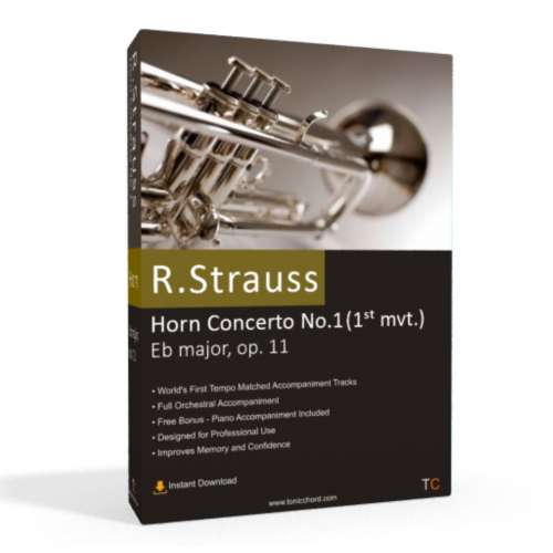 Strauss - Horn Concerto in Eb Major 1st mvt. Accompaniment